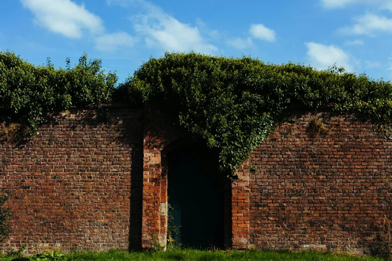 Behind Ancient Walls: The Victorian Kitchen Gardens Feeding Britain's Future