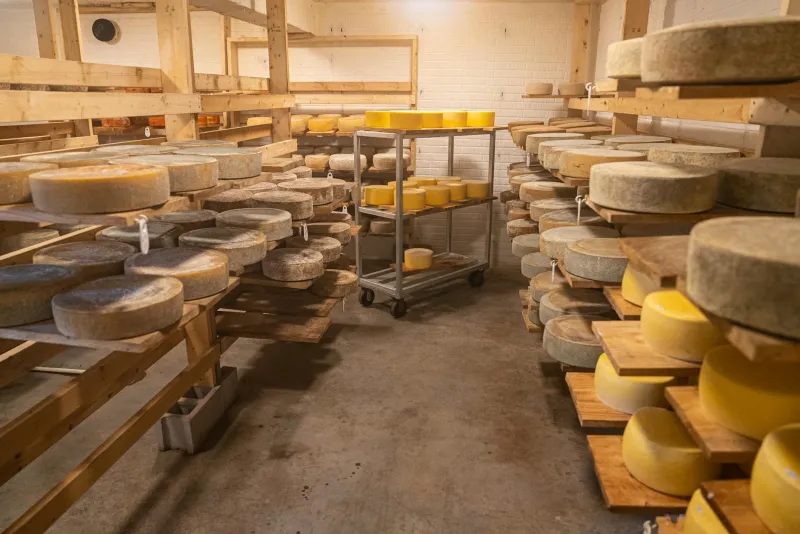 Beneath the Dales: Yorkshire's Stone Chambers Where Cheese Finds Its Soul