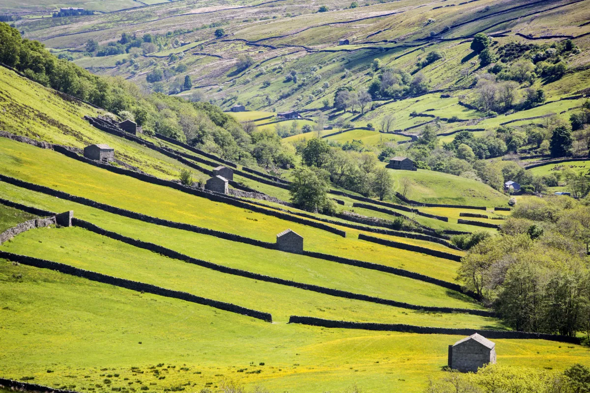 Yorkshire Dales