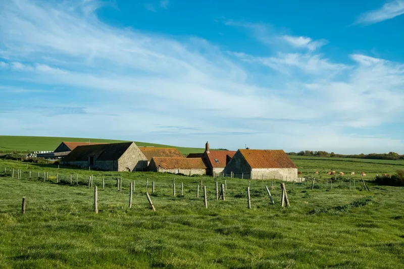 Pass the Plate: The Farm Supper Clubs Closing the Gap Between Field and Fork