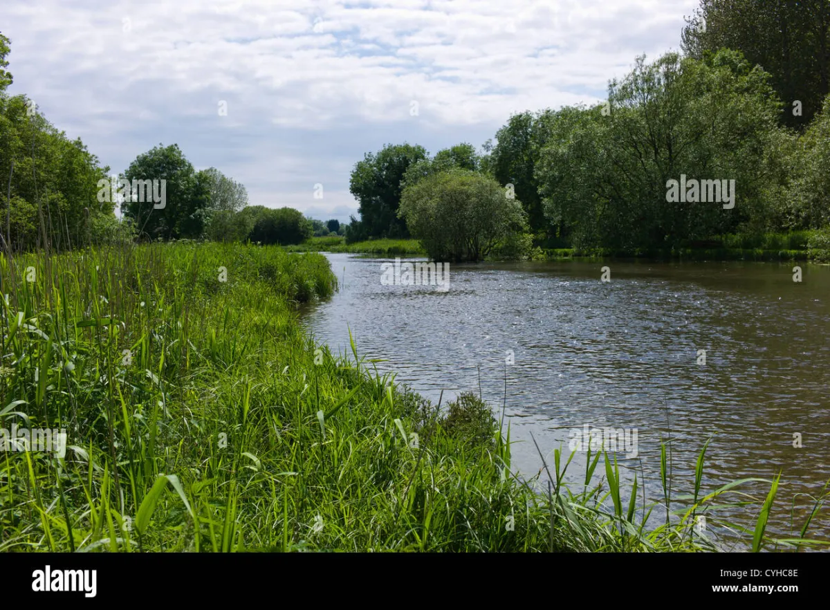The River Test