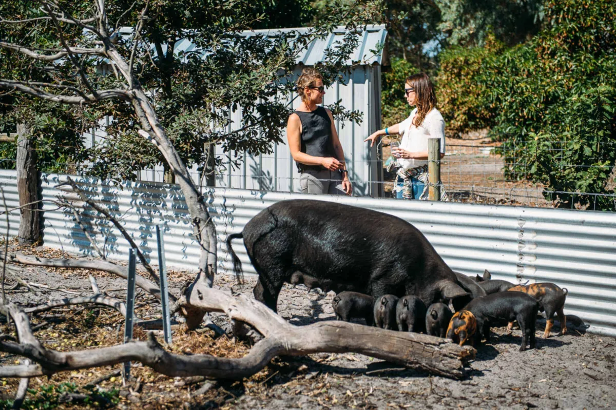 Burnside Farm Distillery