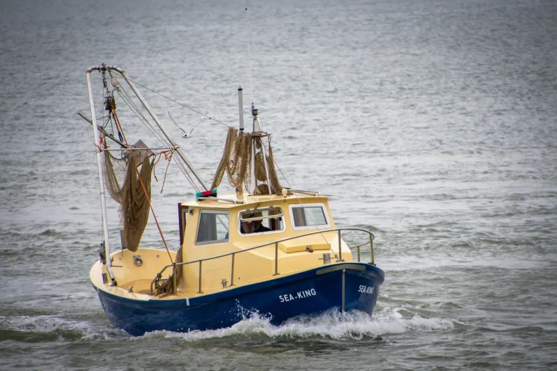 Hooks, Lines, and Fading Tides: The Yorkshire Coast's Final Cod Guardians