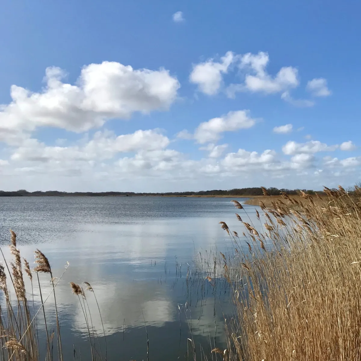 Norfolk Broads
