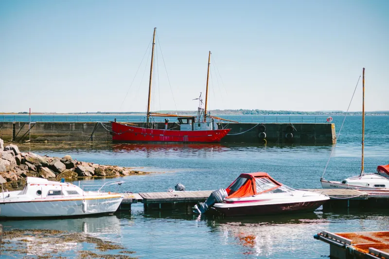 Silver Nets and Silent Boats: The North Sea Herring Men Fighting to Save Britain's Lost Catch