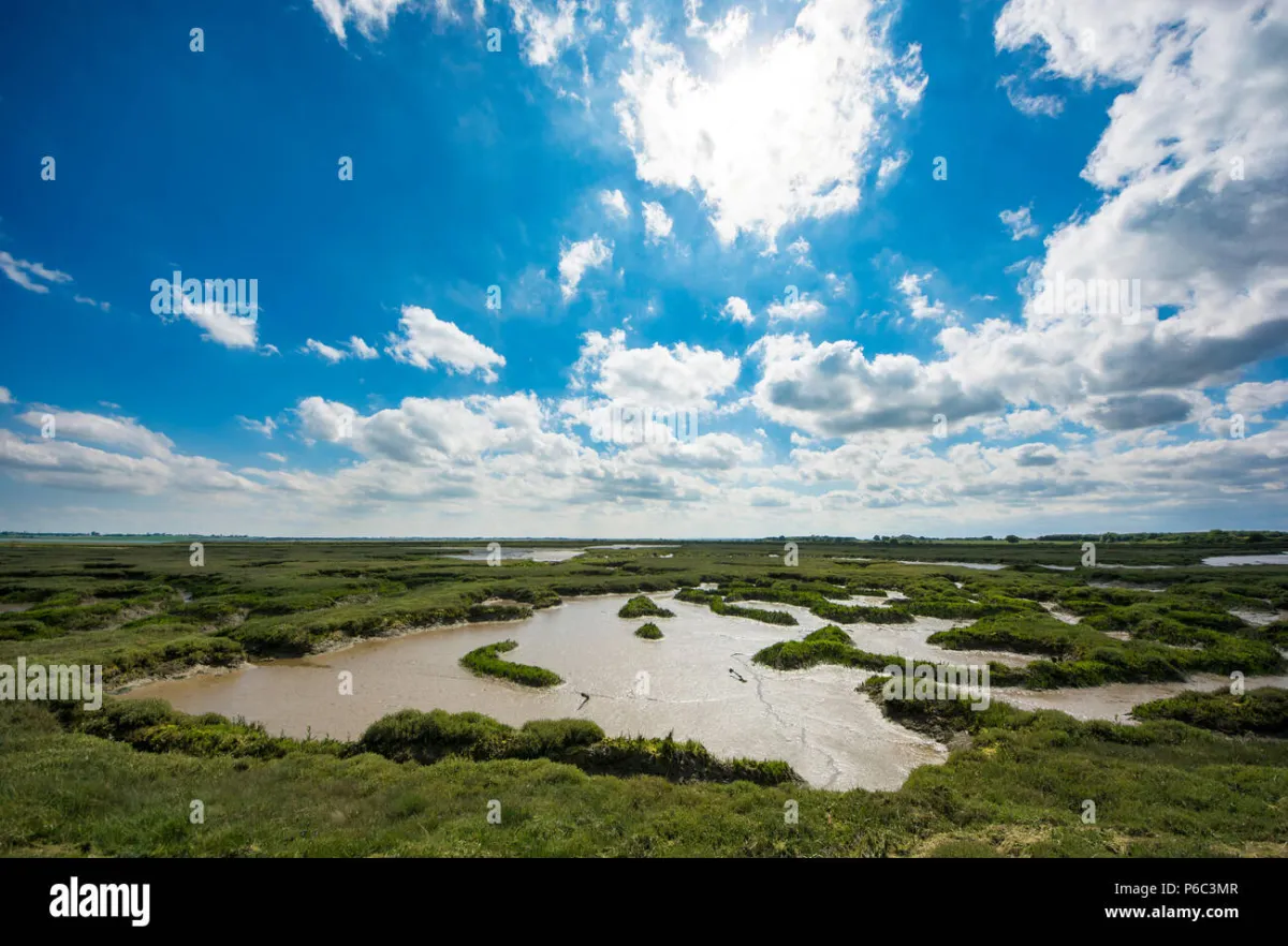 Blackwater estuary