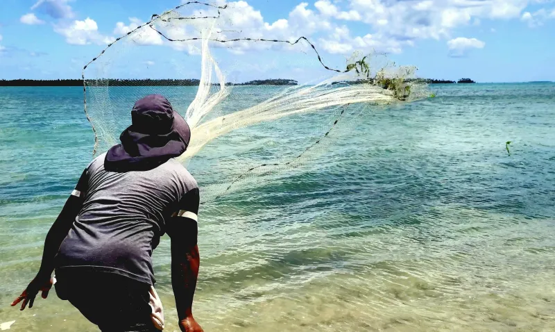 Silver Threads Lost: Why Britain's Ancient Eel Harvest Hangs by a Thread