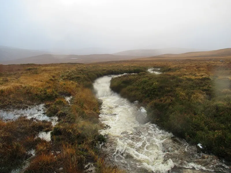The Rivers That Remember: Scotland's Spate Salmon Country Fights for Its Future