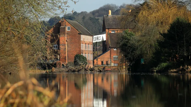 Stone Ground Stories: The Water-Powered Renaissance Transforming British Bread