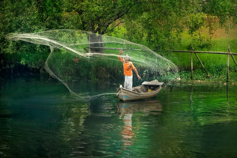 Wading Into History: The Severn's Ancient Net Fishers Face Their Final Tide