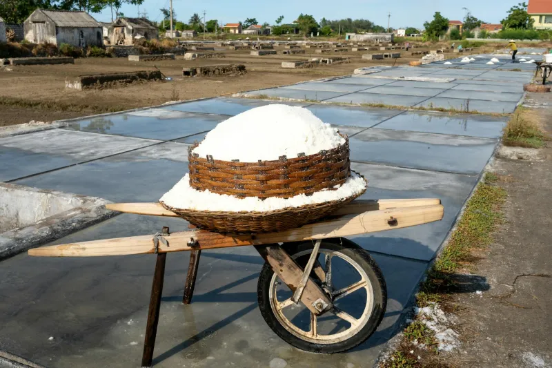 White Gold from the Tides: Britain's Forgotten Salt Harvest
